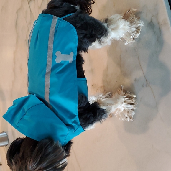 Blue Dog rain jacket